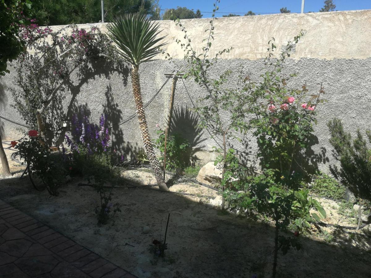 San Diego, Entera Ti Country house Vallonga