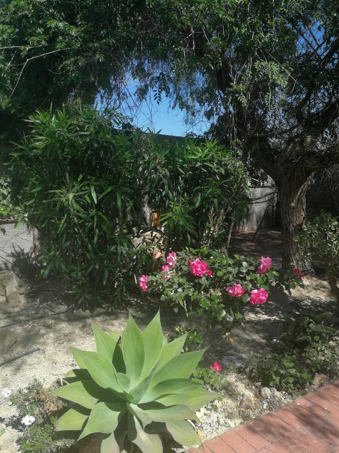 Landhuis San Diego, Entera Ti